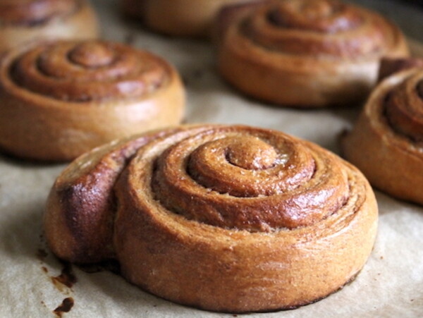 whole wheat cinnamon rolls