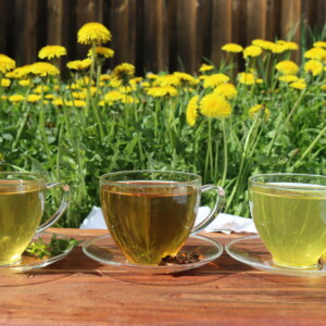 Dandelion Tea