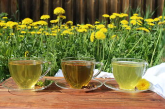 Dandelion Tea