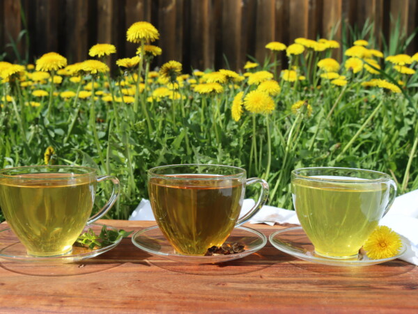 Dandelion Tea