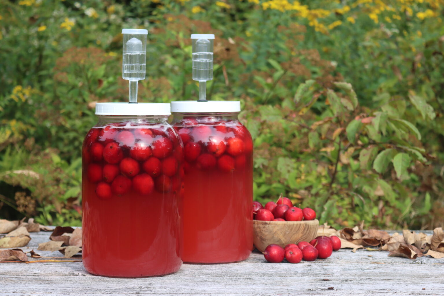 Bottle of homemade crabapple wine